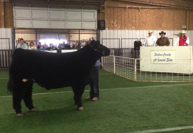 Stephens County Auction