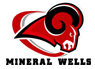 Mineral Wells ISD
